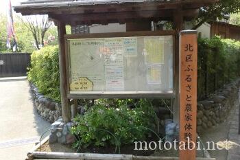 鯉のぼり
