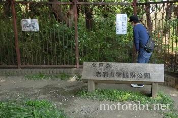 猫がいた
