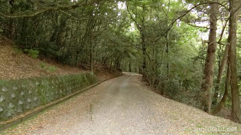 春日山遊歩道