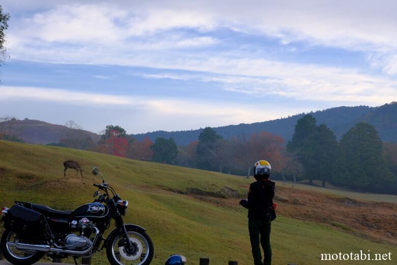 奈良・飛火野