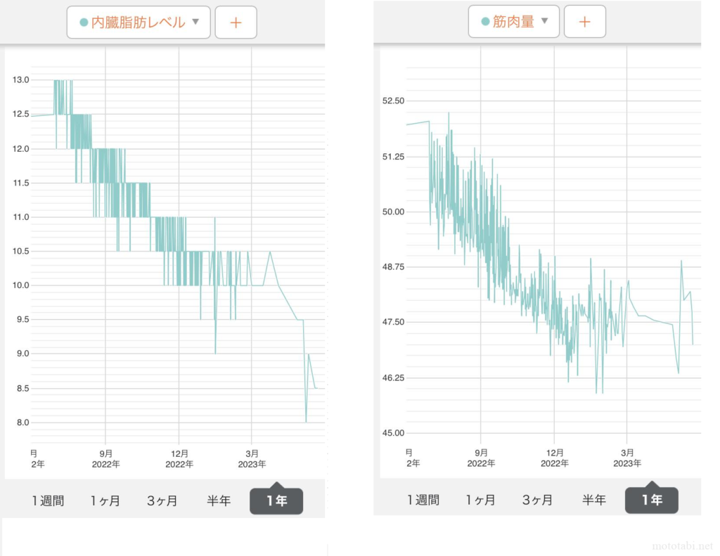 内臓脂肪レベルと筋肉量