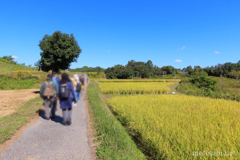 朝日・五私鉄リレーウオーク2023第5回 南海寺ヶ池公園野球場からスタート