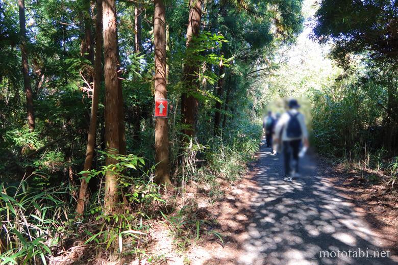 朝日・五私鉄リレーウオーク2023第5回 南海寺ヶ池公園野球場からスタート