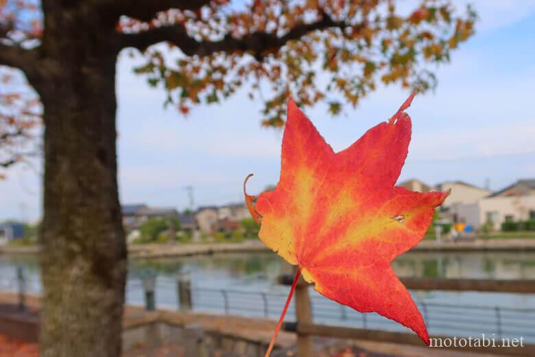 富山県富山市東岩瀬町